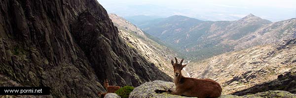 La Sierra de Gredos en Ávila, Cáceres y Toledo